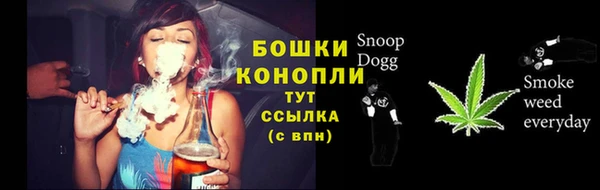 мяу мяу мука Дмитриев
