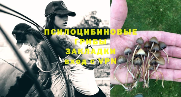 метамфетамин Гусь-Хрустальный